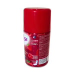AEROSOL DE FRUTOS ROJOS - 256 ML - Imagen 3