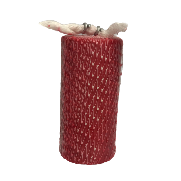 BIO BRICK      1X 2LBS