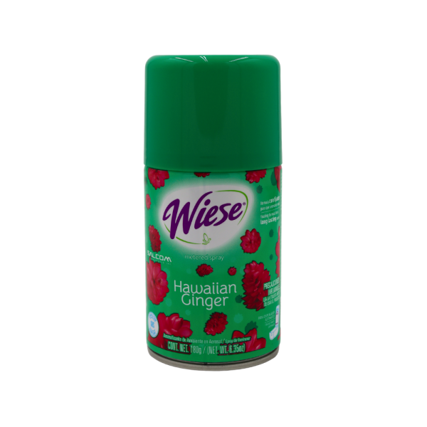 AEROSOL DE HAWAIAN GINGER 256ML